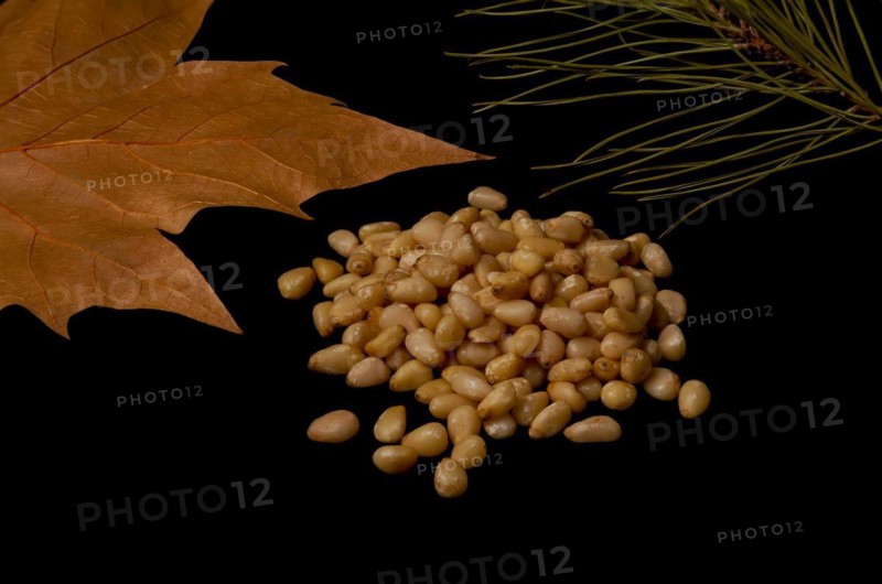 Pine nuts on slices of wood dried leaves and pine branch