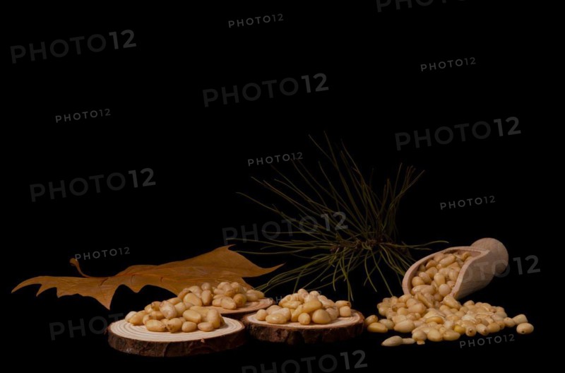 Pine nuts on slices of wood dried leaves and pine branch