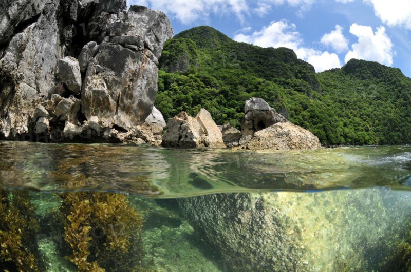 Limestone rock