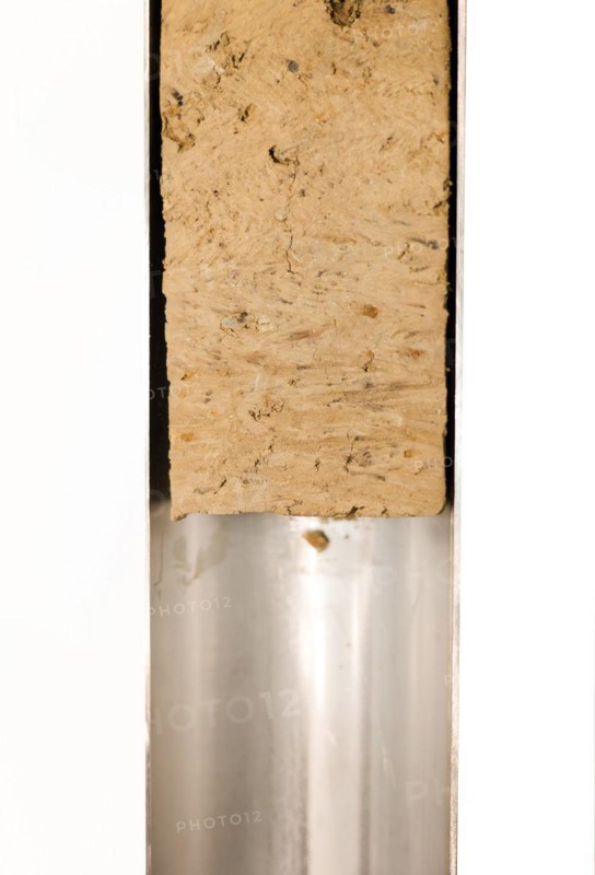 Drill core of a test borehole on a black fallow