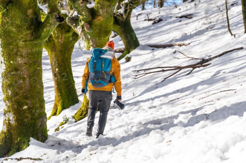 Photographer trekking with a backpack taking winter photos of a beech forest with snow