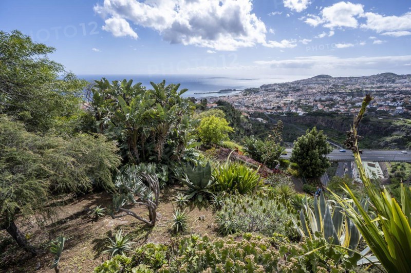 Funchal Botanical Garden