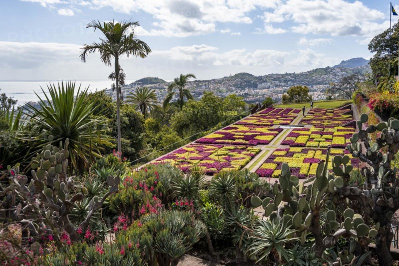 Funchal Botanical Garden