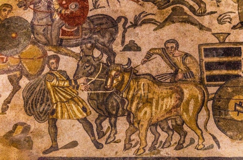 Booty being transported on ox carts