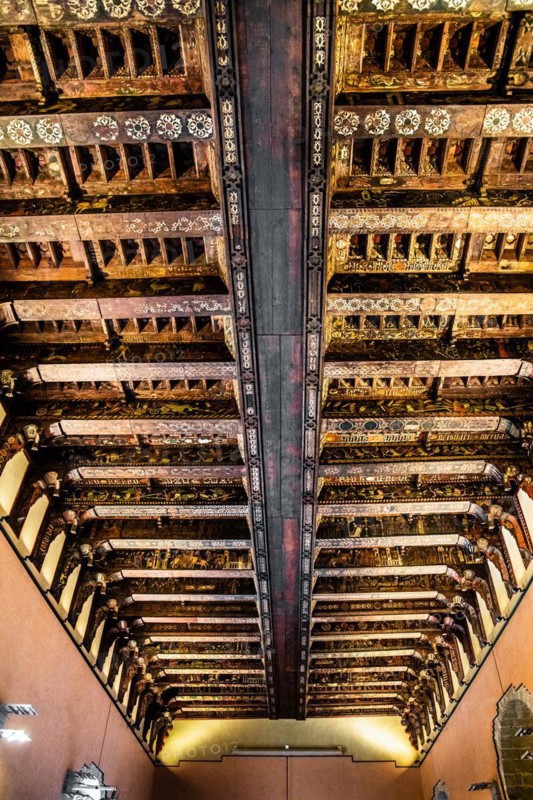 Splendid ceiling
