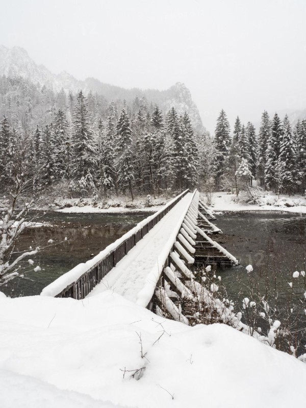 Winter landscape