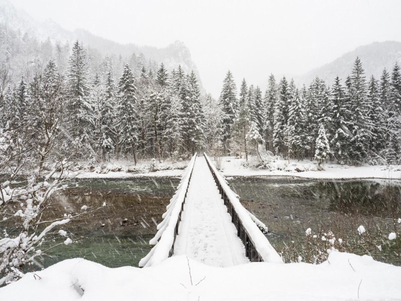 Winter landscape