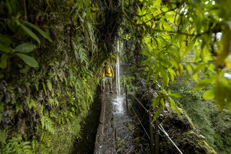 Hikers on a narrow path along a levada with a waterfall