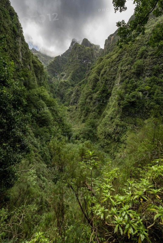 View of steep forested cloud-covered mountains