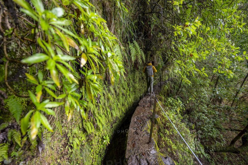 Hikers on a narrow path along a levada