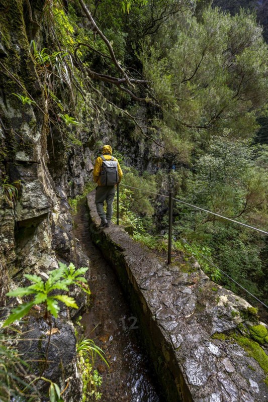 Hikers on a narrow path along a levada