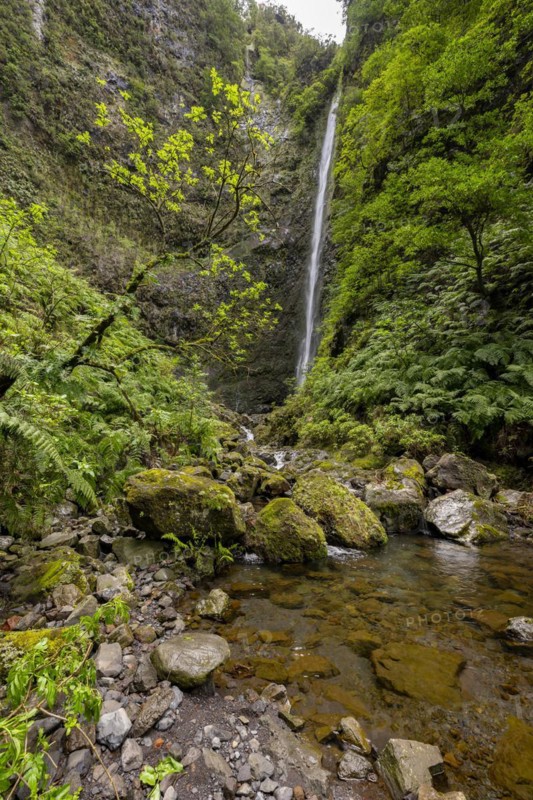 Waterfall on a steep cliff in the Caldeirao Verde