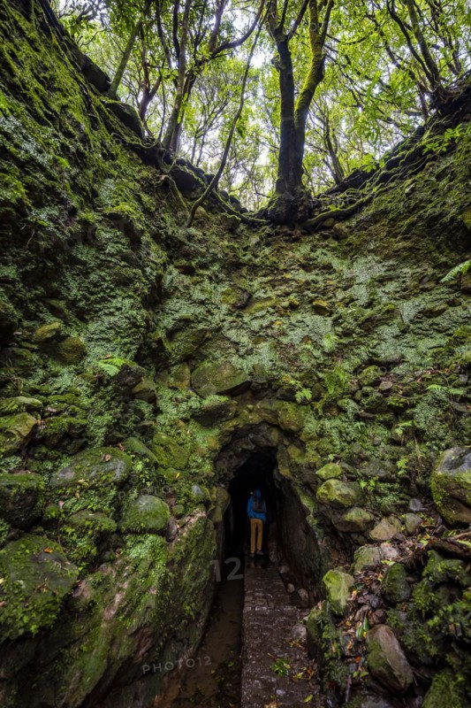 Hiker on a hiking trail