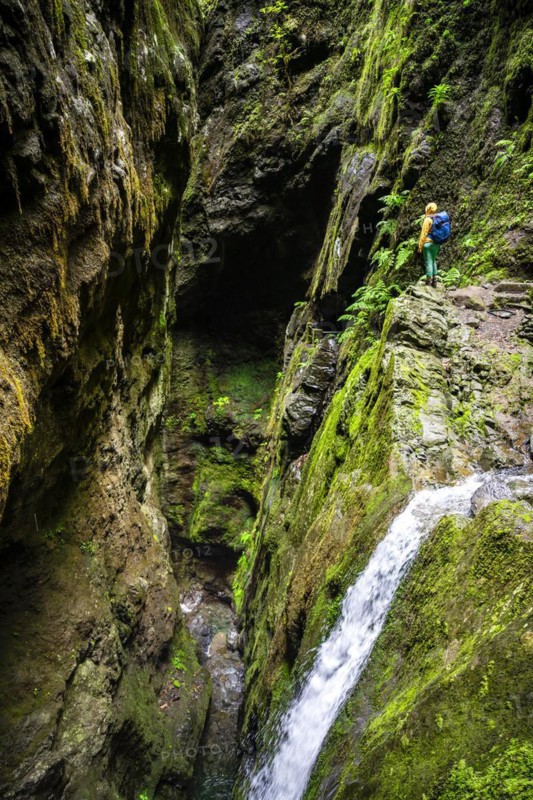 Adventure in nature