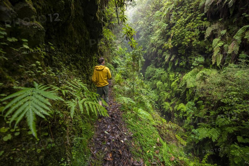 Hikers on a narrow footpath