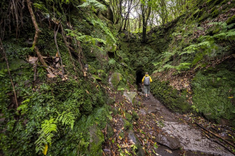 Hiker on a hiking trail