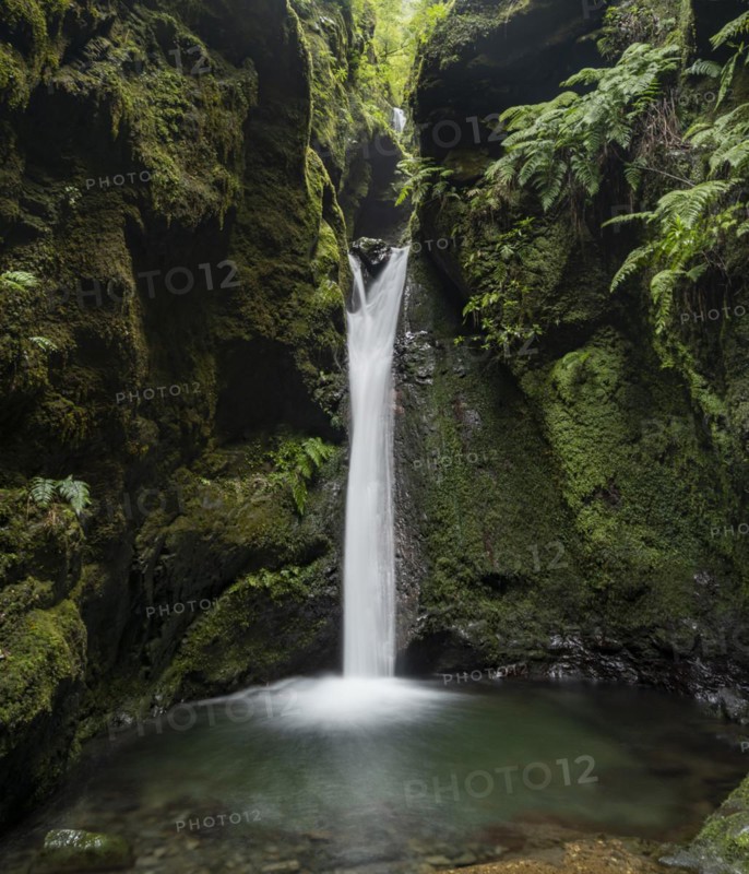 Waterfall in a narrow gorge overgrown with moss and ferns