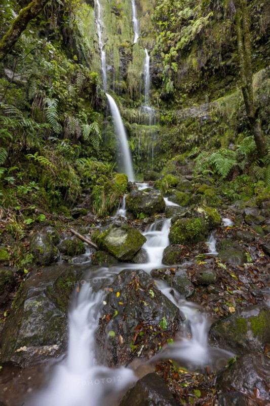 Waterfall on a rock face overgrown with ferns and moss