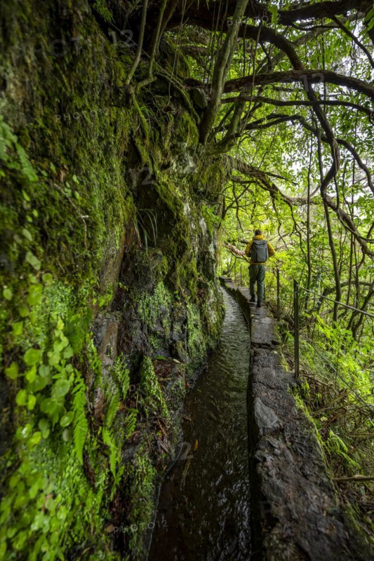 Hikers on a narrow path along a levada