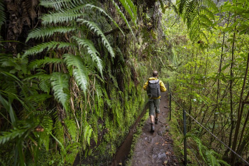 Hikers on a narrow path along a levada