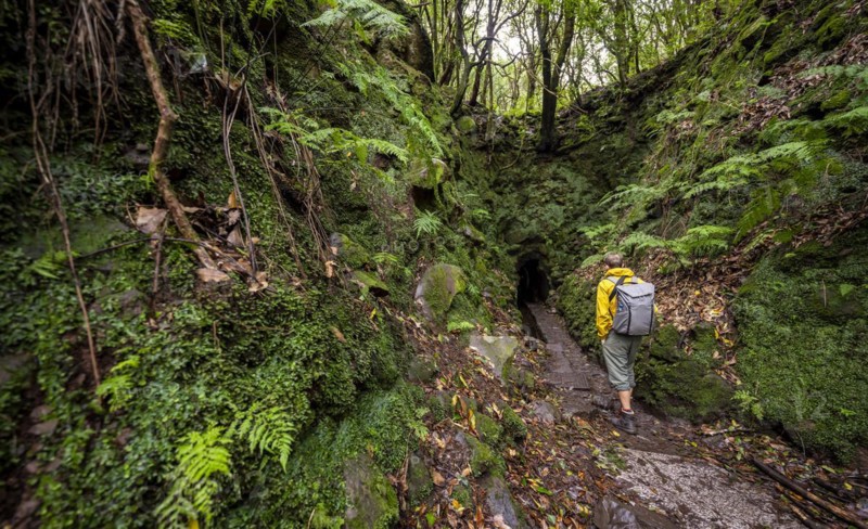 Hiker on a hiking trail