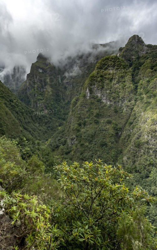 View of steep forested cloud-covered mountains