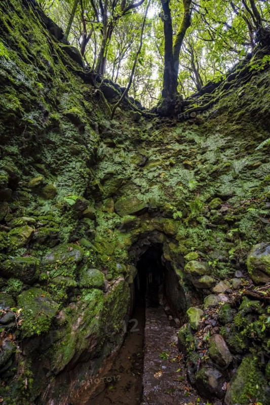 Hiking trail