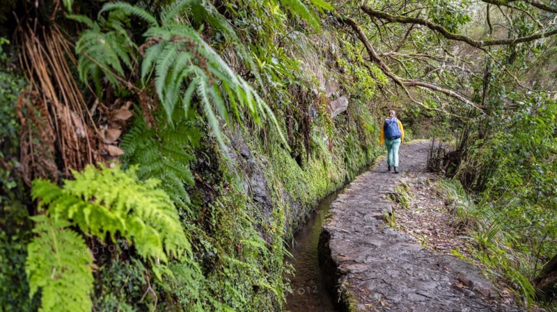 Hiker on a Levada