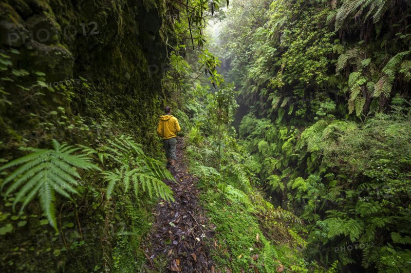 Hikers on a narrow footpath