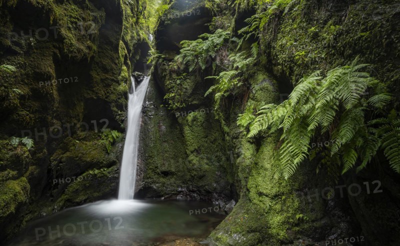 Waterfall in a narrow gorge overgrown with moss and ferns