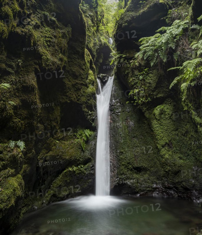 Waterfall in a narrow gorge overgrown with moss and ferns