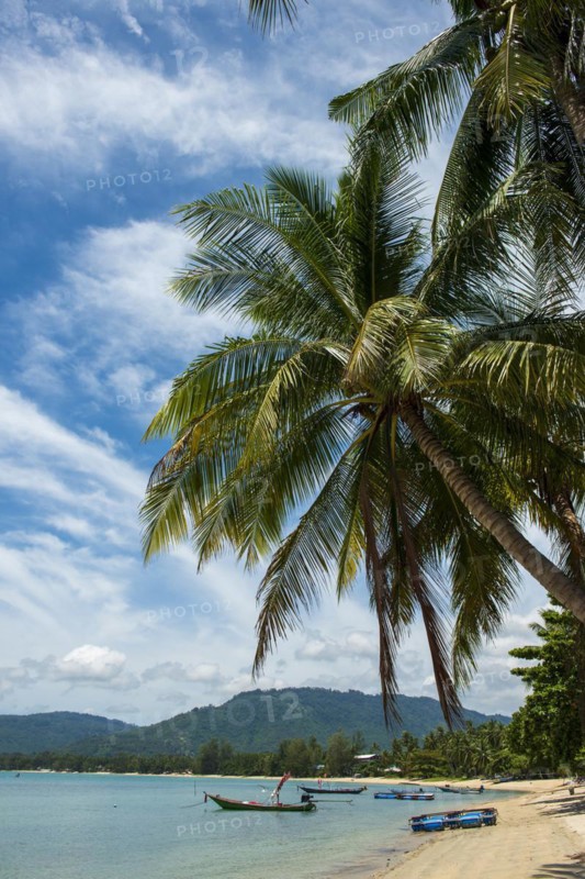 Palm Beach