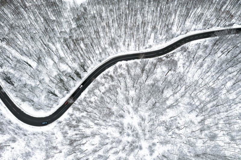 Winding country road leads through a forest in the Swabian Alb