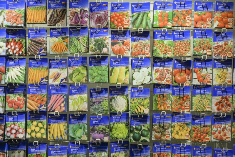 Vegetable Seed