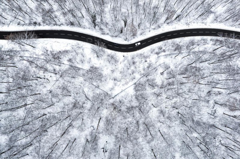 Winding country road leads through a forest in the Swabian Alb