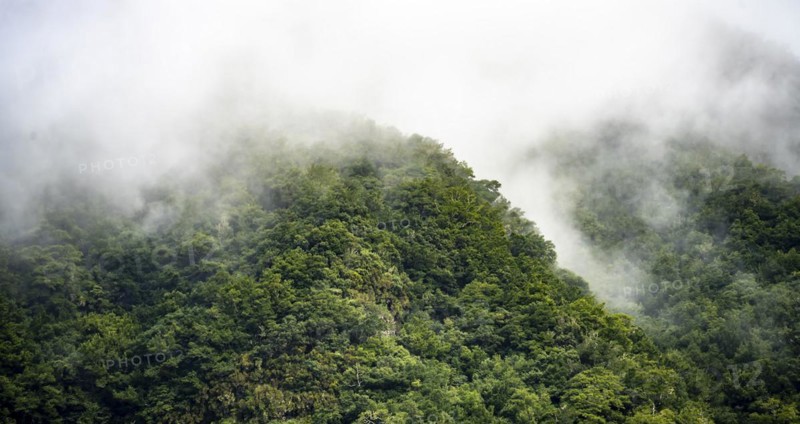 Mountains with fog