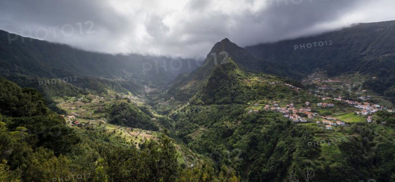 Green mountain valley with forest and mountains