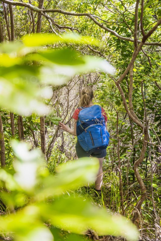 Adventure