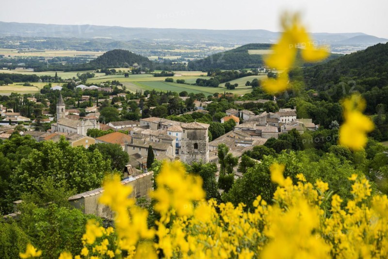 Marsanne