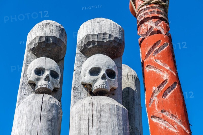 Wooden stakes with skulls