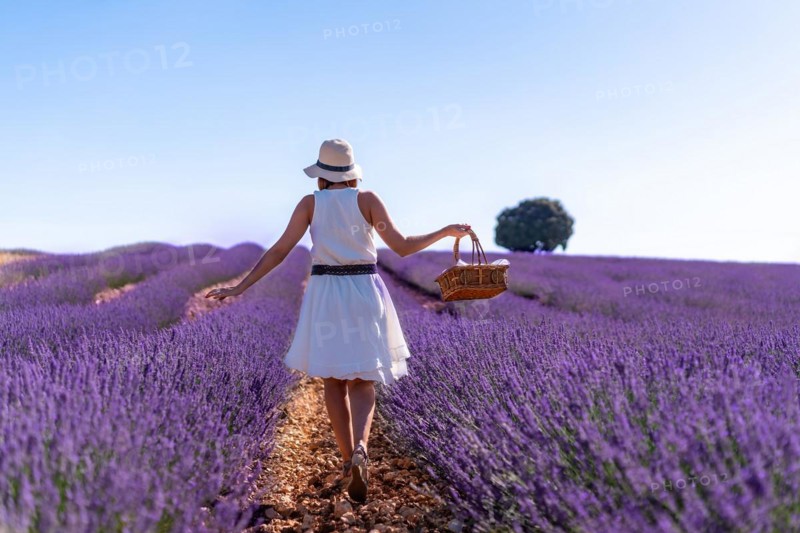 A woman in a summer lavender field with a hat picking flowers