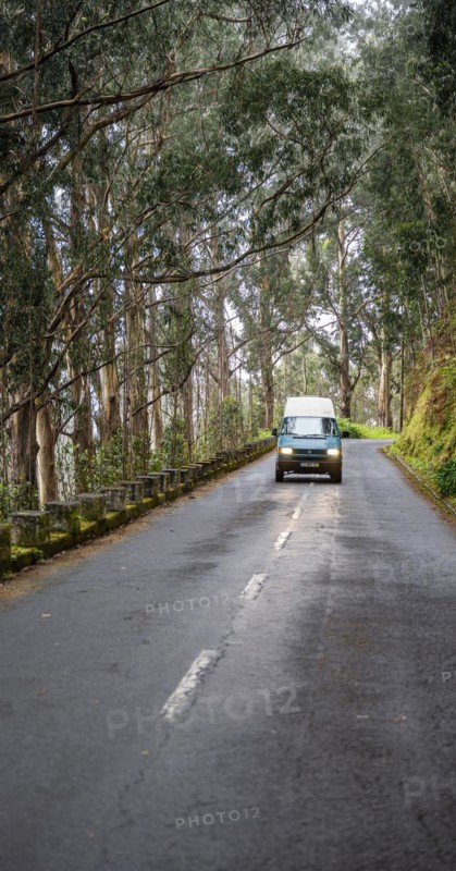 VW bus on a road in the forest