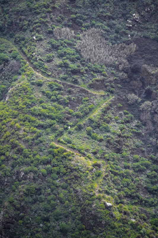 Serpentines of a path on a steep slope