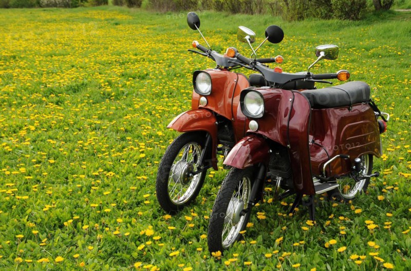 Moped Schwalbe from the GDR in a dandelion meadow