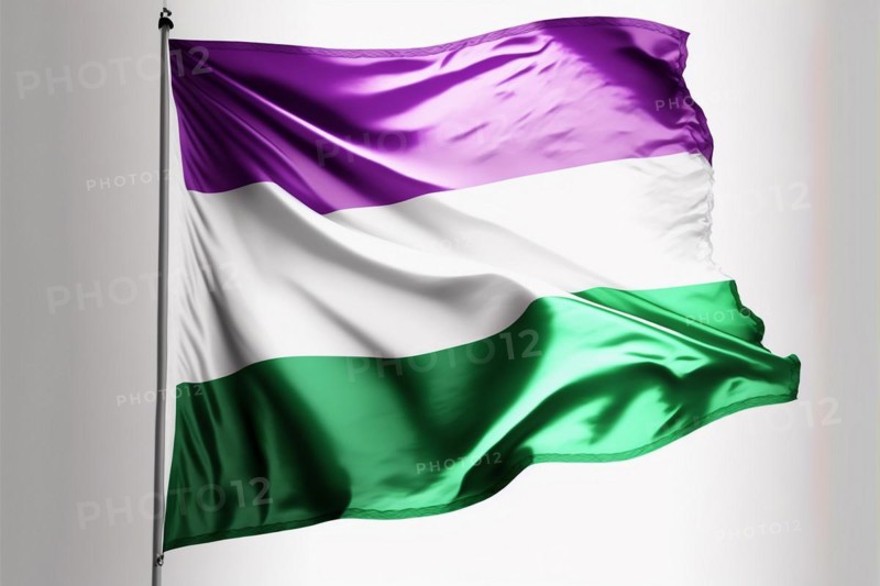 GenderQueer flag white background