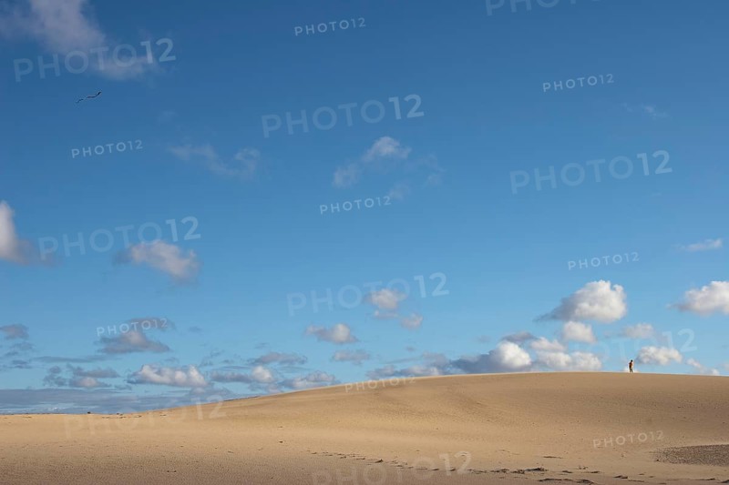 Dune