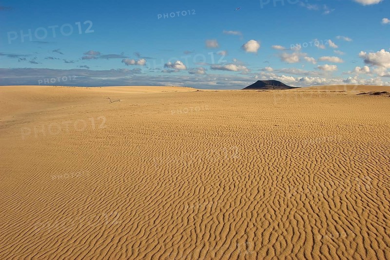 Yellow sand desert