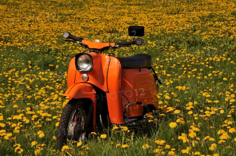 Moped Schwalbe from the GDR in a dandelion meadow