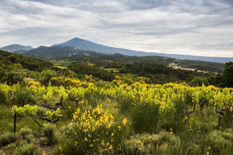 Medieval mountain village and Mont Ventoux
