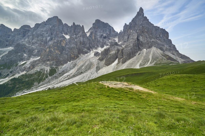 Green alpine meadows with mountain panorama